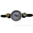 SGJX-5机械式拉力仪器0-5T