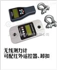 100KG标准拉力计/标准拉力计价格