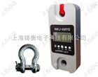 标准测力仪0.1级（0-200吨）